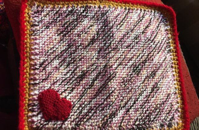 Cat blanket by Georgia Green.jpg