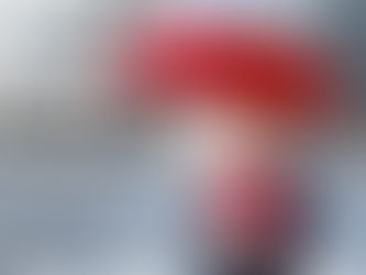 Ausstellungsstücke auf Transport und Messe versichern