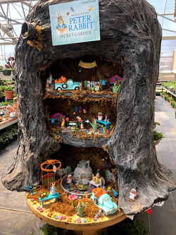 Peter Rabbit Collection