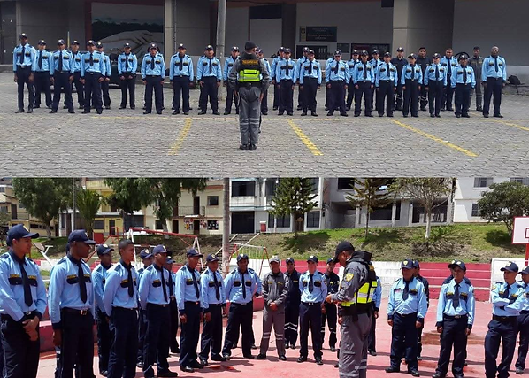 Seguridad y Vigilancia