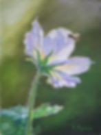 Köpnick Viktoria, Play of Light on the Purple Blossom, 24x30cm