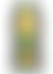 מארז 24 יח׳ - משקה קל תפוזים