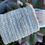 Thumbnail: Exfoliating Soap Bag