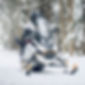 Screenshot_14-10-2024_181047_ski-doo.brp.com.jpeg