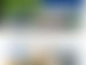 REMINDER: Tomorrow at Noon -- Celebrate The Inflation Reduction Act!