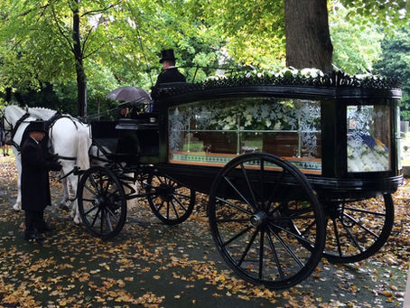 HOW IS IT GOING FOR YOU SO FAR?