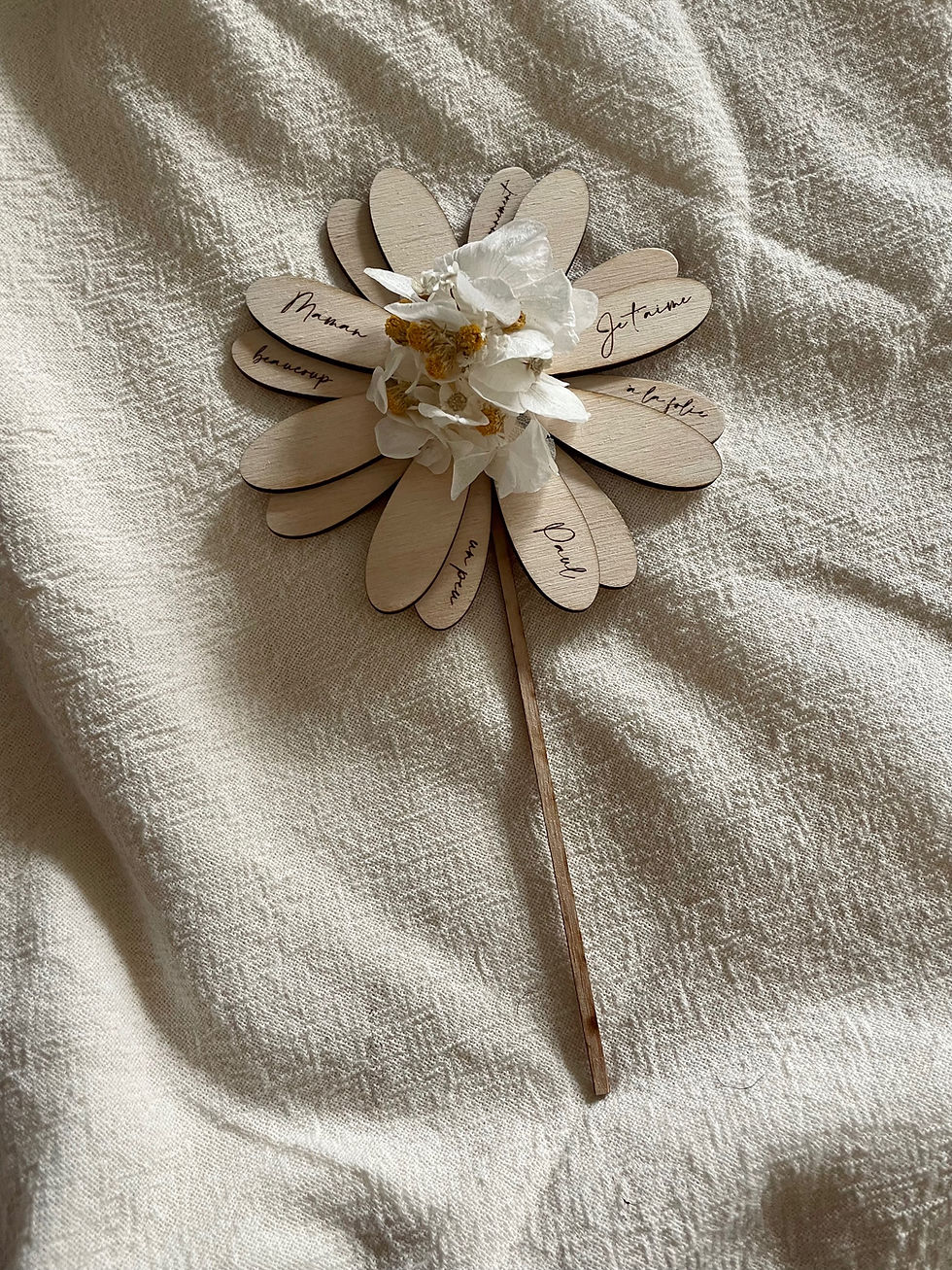 Miniature : La Marguerite à planter