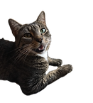 IMG_6309_edited.png