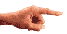 pointer