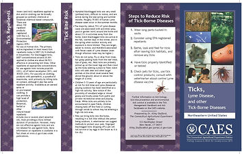 CAES Tick Brochure_Page_1.jpg