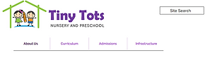 Homepage_tinytot.png