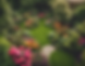inject-blog-service_1715261026552.png