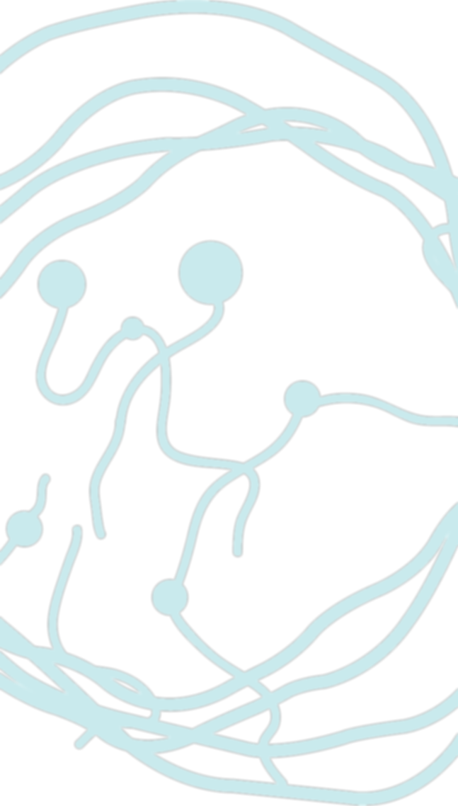 Element 1_edited_edited_edited_edited_edited_edited_edited.png