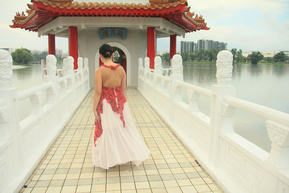 Yarn Embroidered Gown