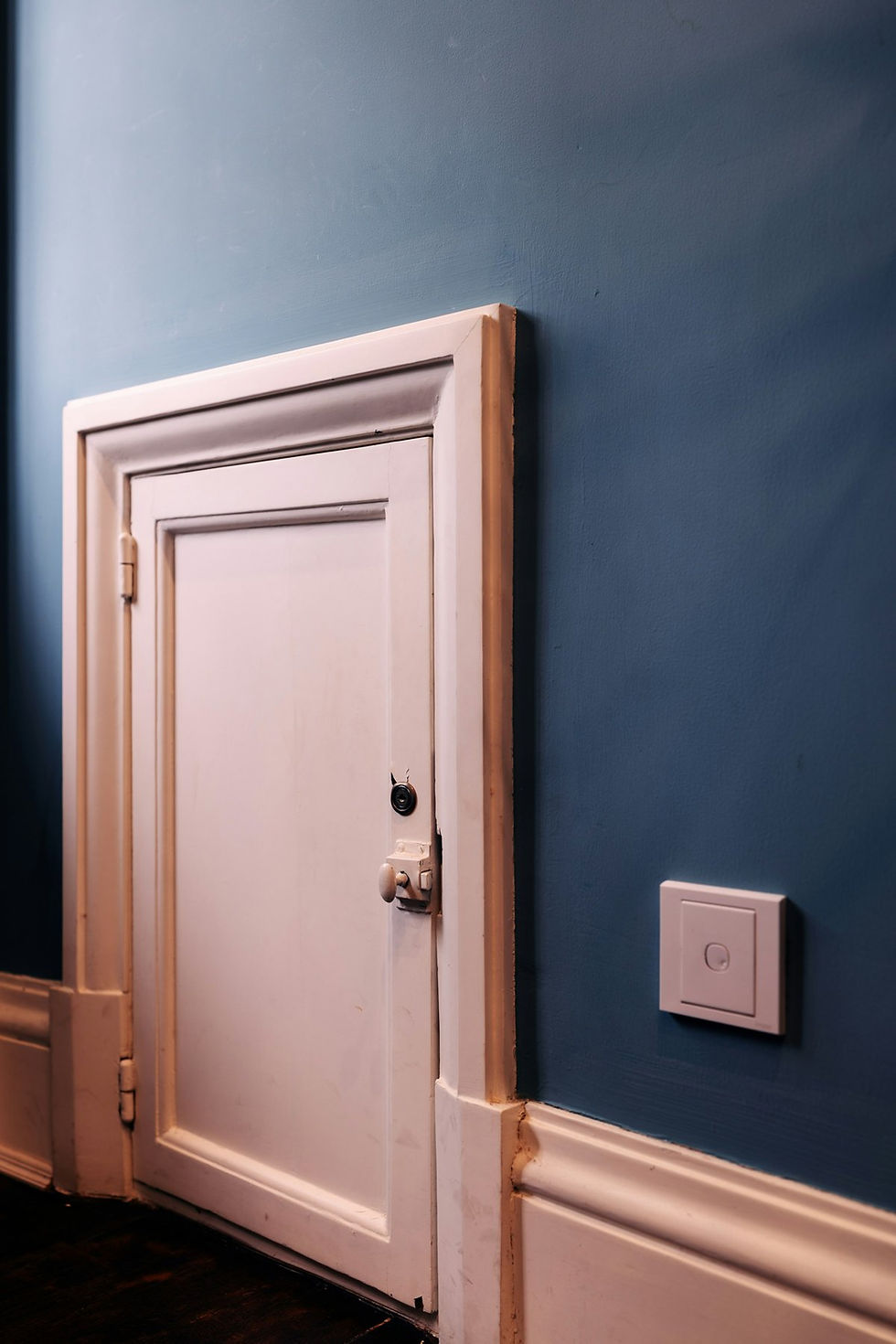 Interior door with painted casing
