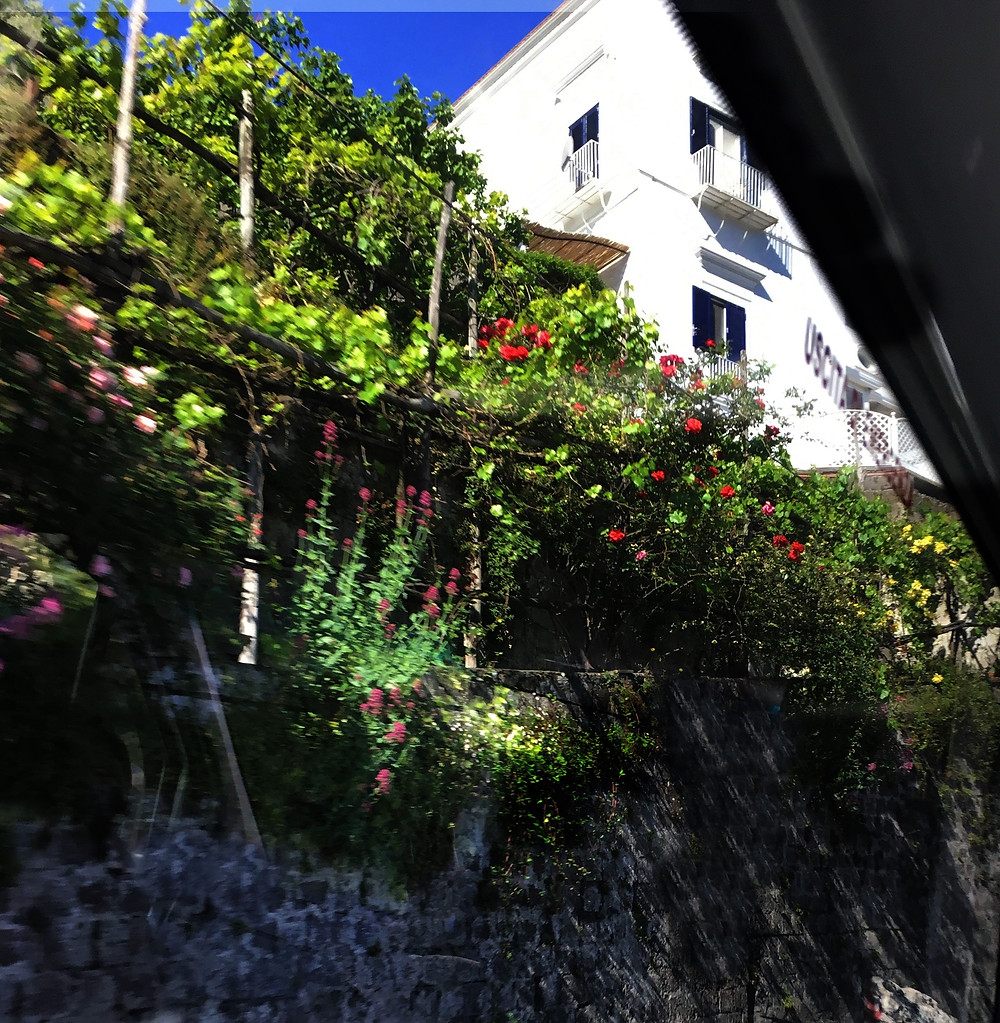 Driving by this beautiful wall!