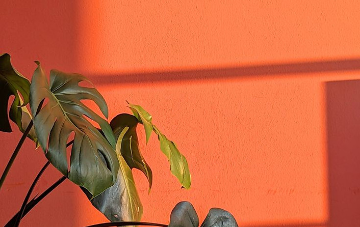 Golden Hour