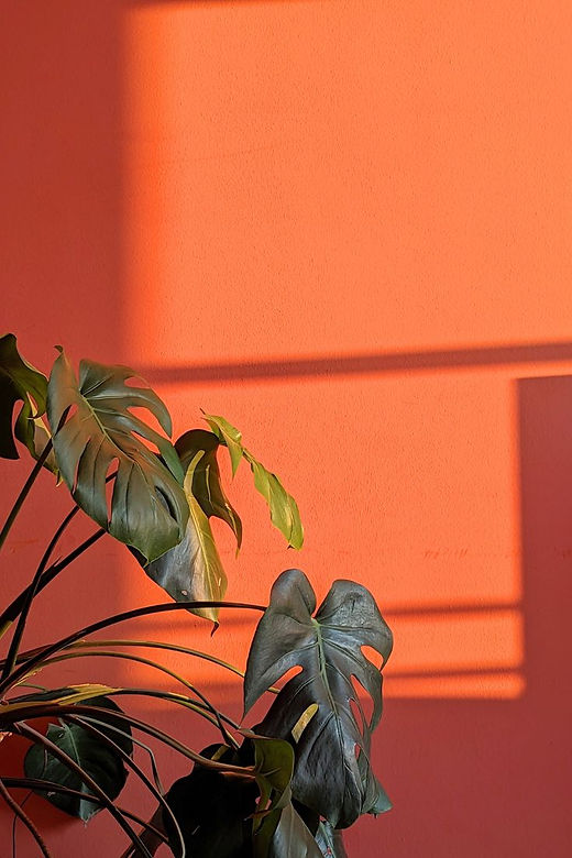 Golden Hour.jpg