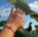 external-file_edited