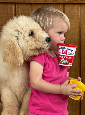 Picture Perfect - Best Friends