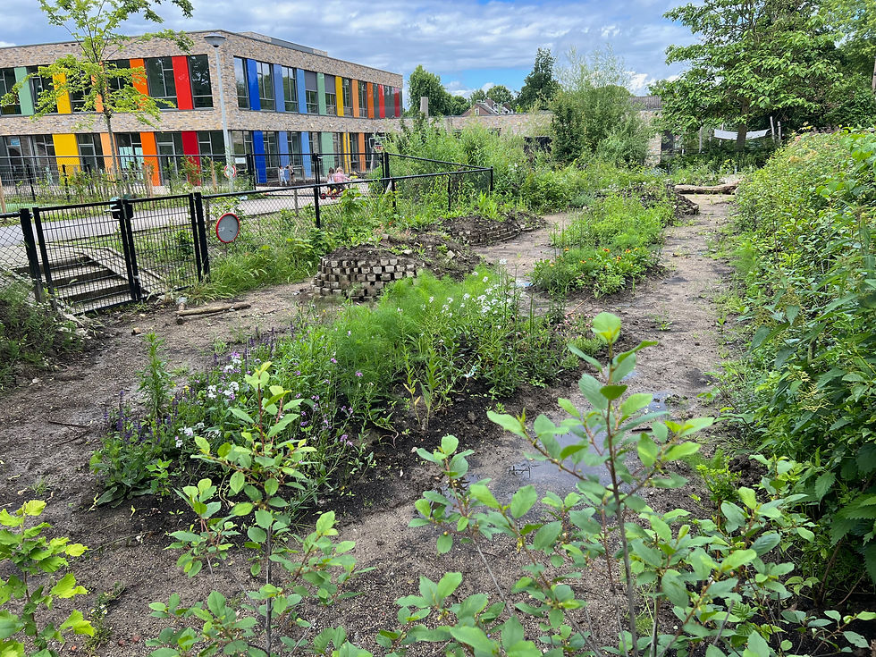 Natuurtuin in Maastricht.