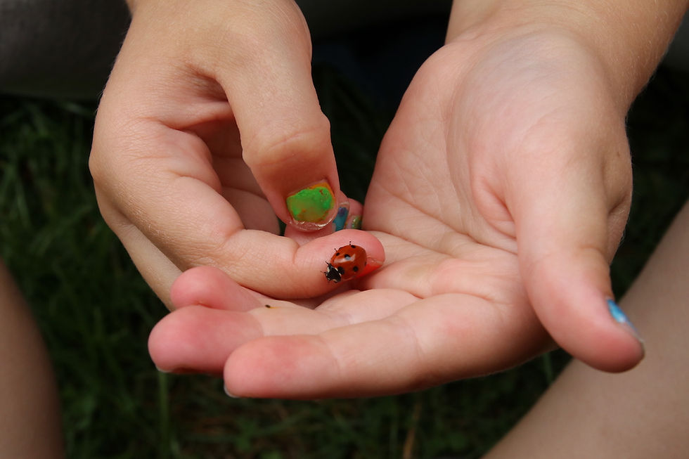Contact met de natuur.
