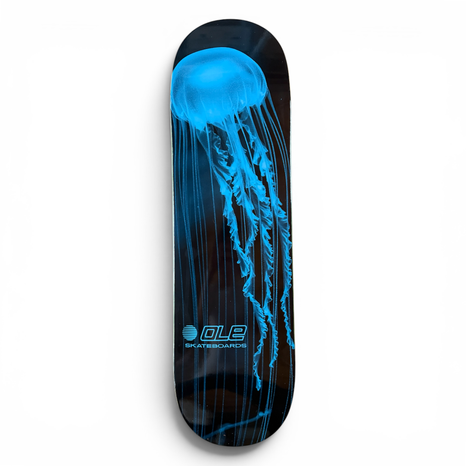 JELLYFISH