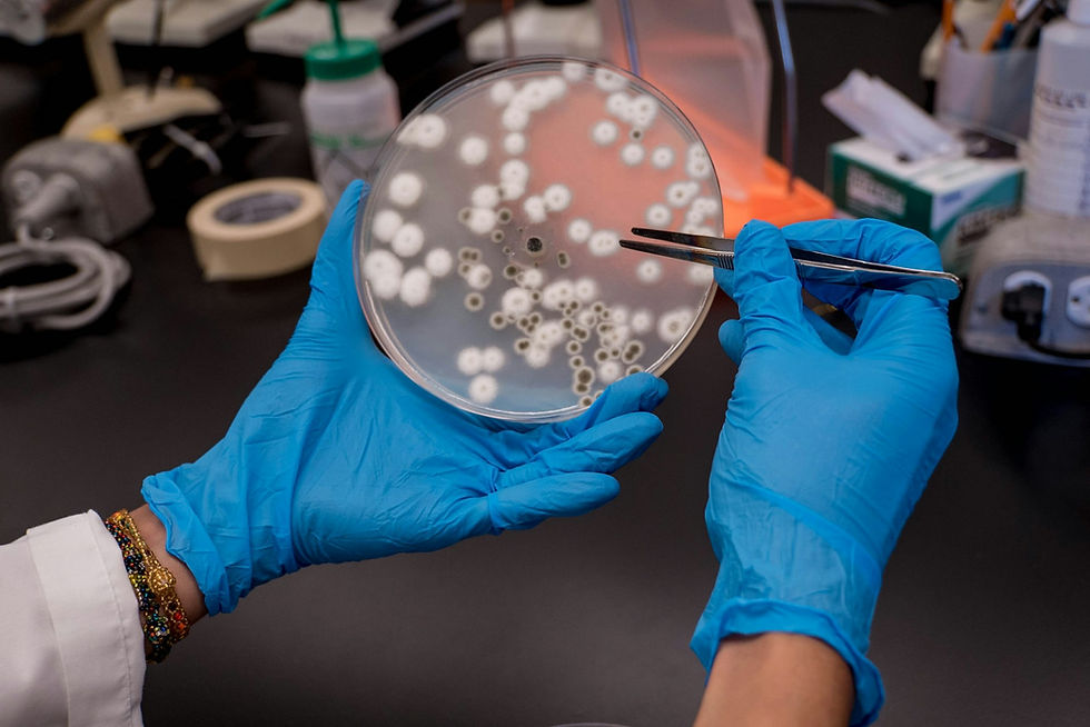 미생물 검사의 패러다임 전환, FDA가 신속 검사법(RMM) 병행 도입을 권고하는 이유