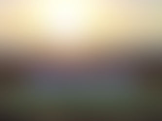 💥🌞✨ЗАПОЗДАЛЫЙ ПРИЛЁТ ИЗ СОЧИ🏇🌟😊