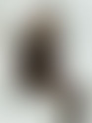 Yiorgios: Notos Galleries magazine