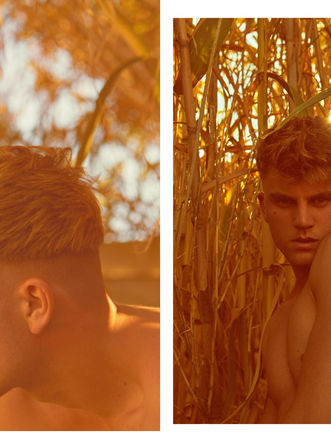 Achilleas by Kostas Avgoulis