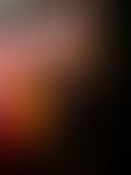 Ellie&Christie: Niriides Lookbook