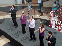 ARSYSS Paseo de las Flores