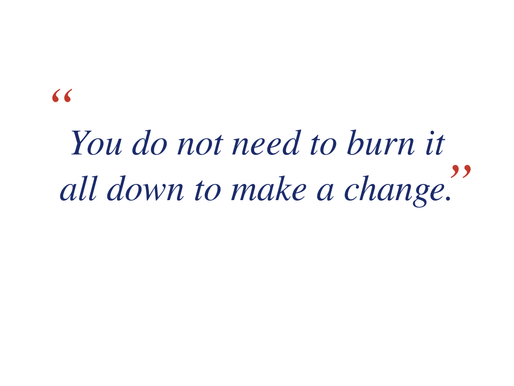 You Do Not Need to Burn It All Down to Make a Change