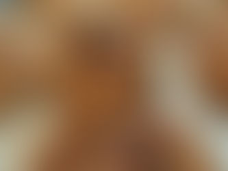 Buchweizen Nussschnecken