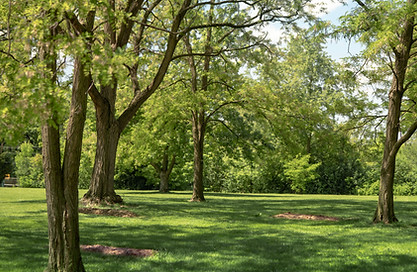 LCN Amber Oaks, Green Burial