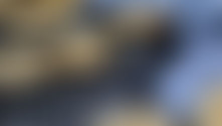 Kekse, Kekse, Kekse…