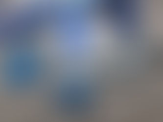 Frostwiesenlauf im Spreewald