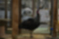 DSC_0023.JPG.jpg