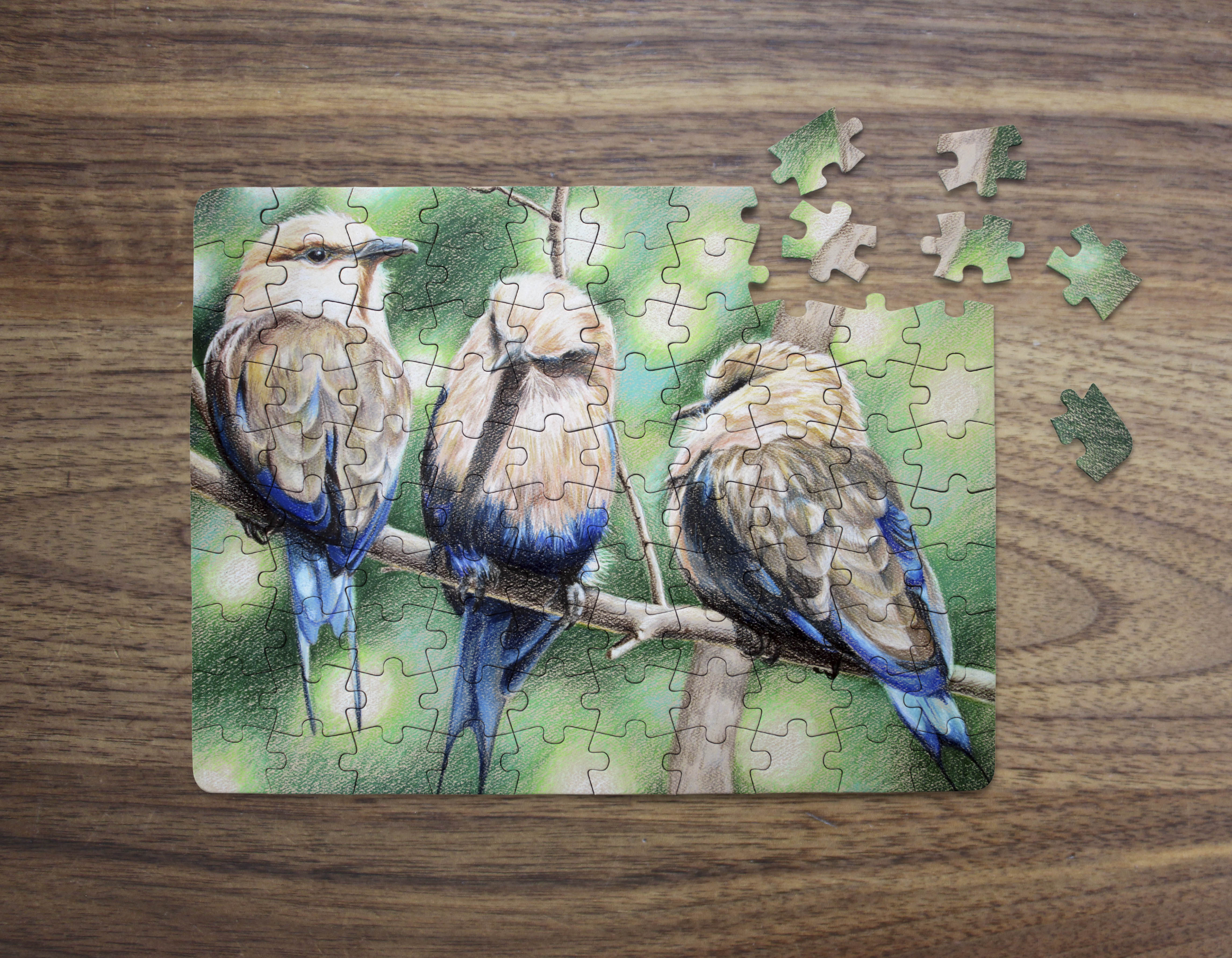 3oiseaux_low res