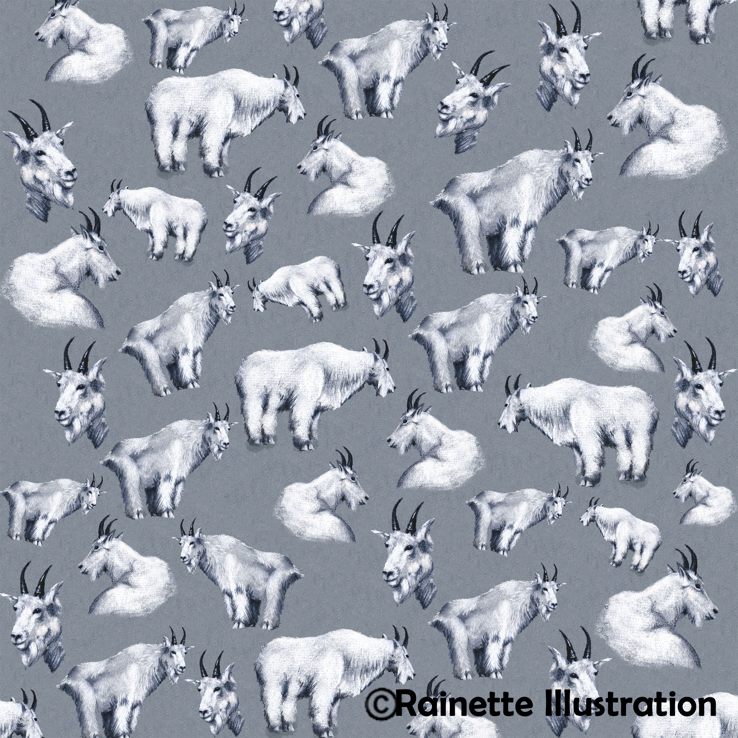Chèvres_Montagne_Motif