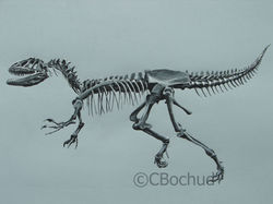 Velociraptor, dinosaure, dinosaure
