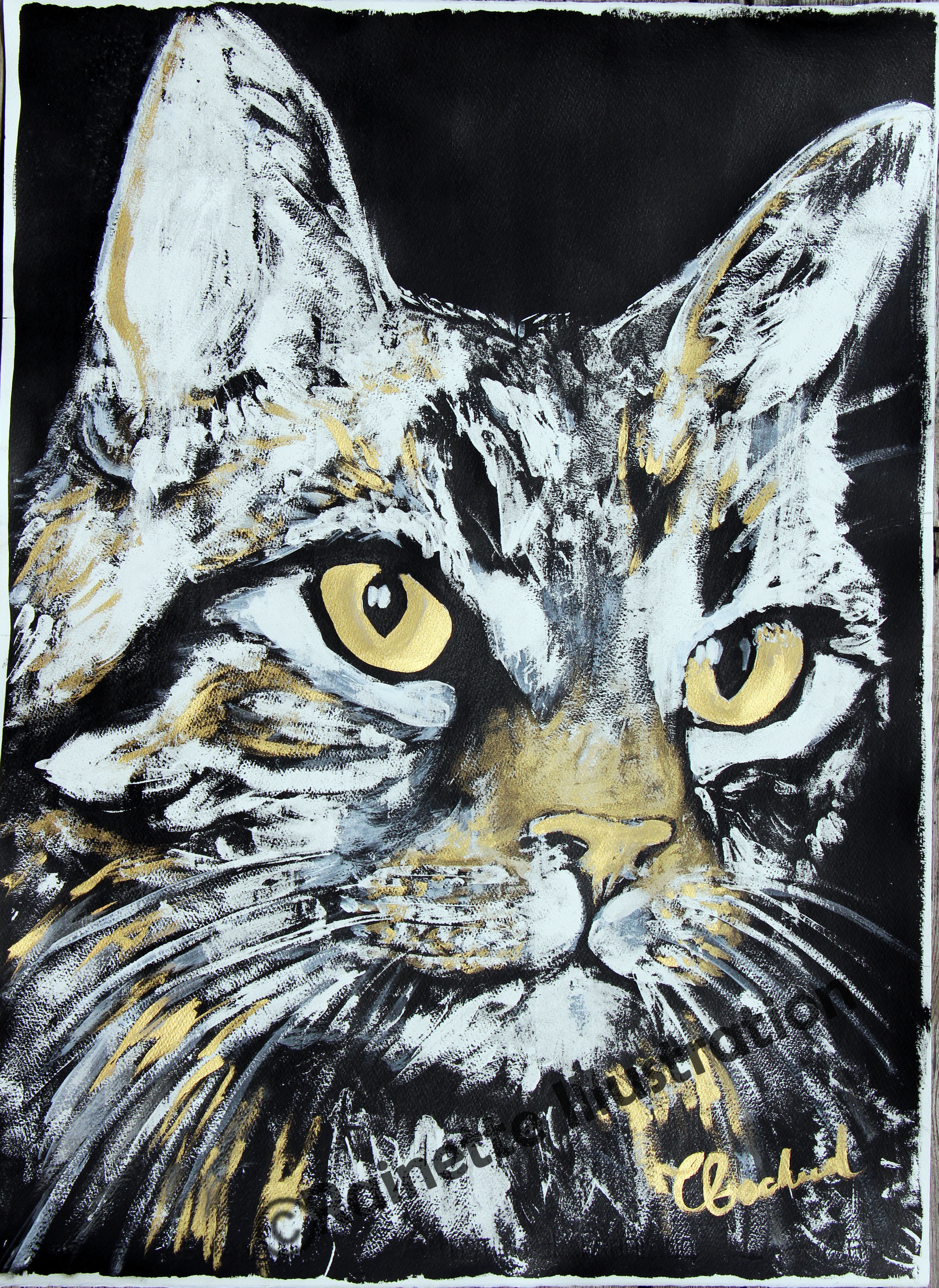 Rio : mon chat
