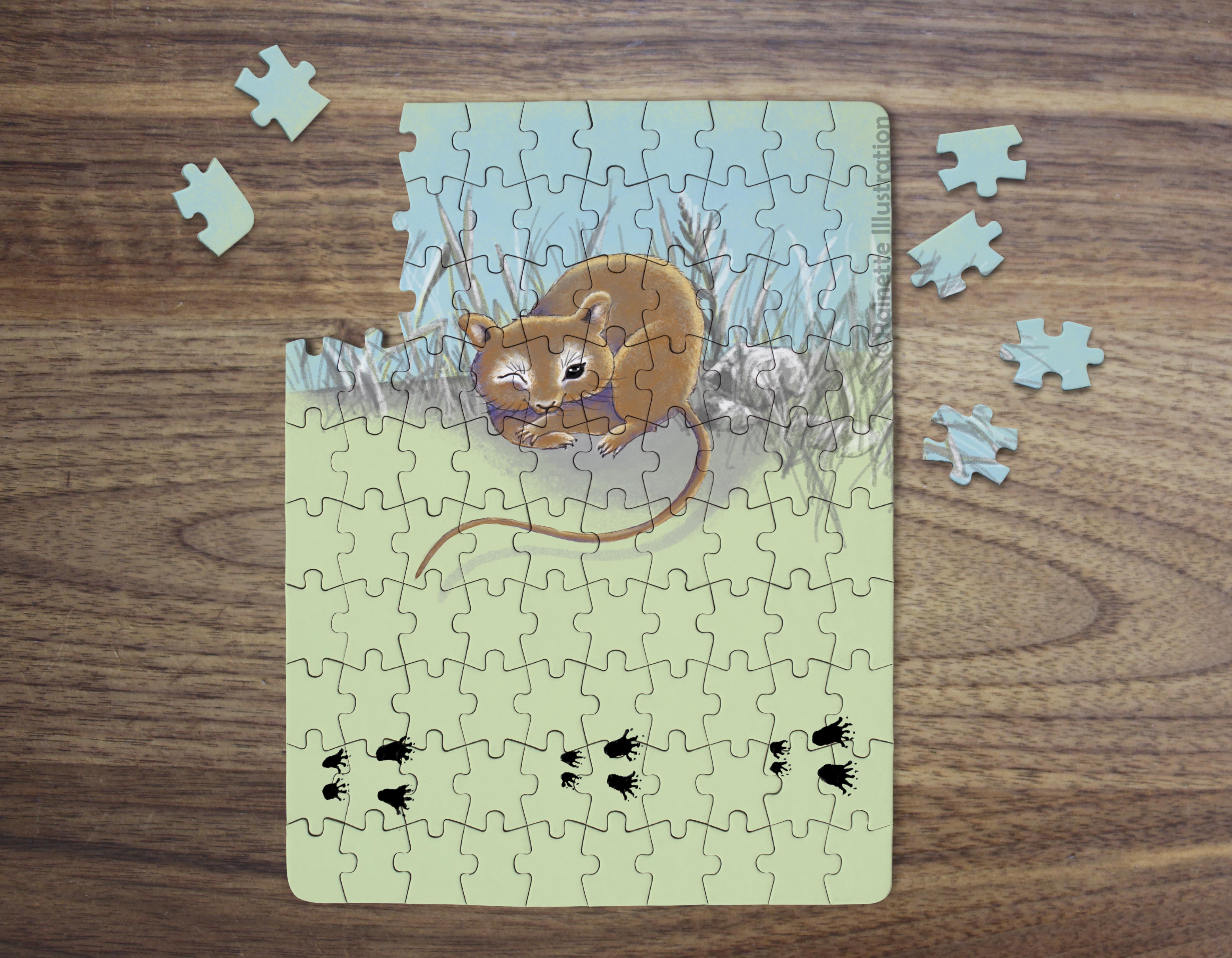Mouse