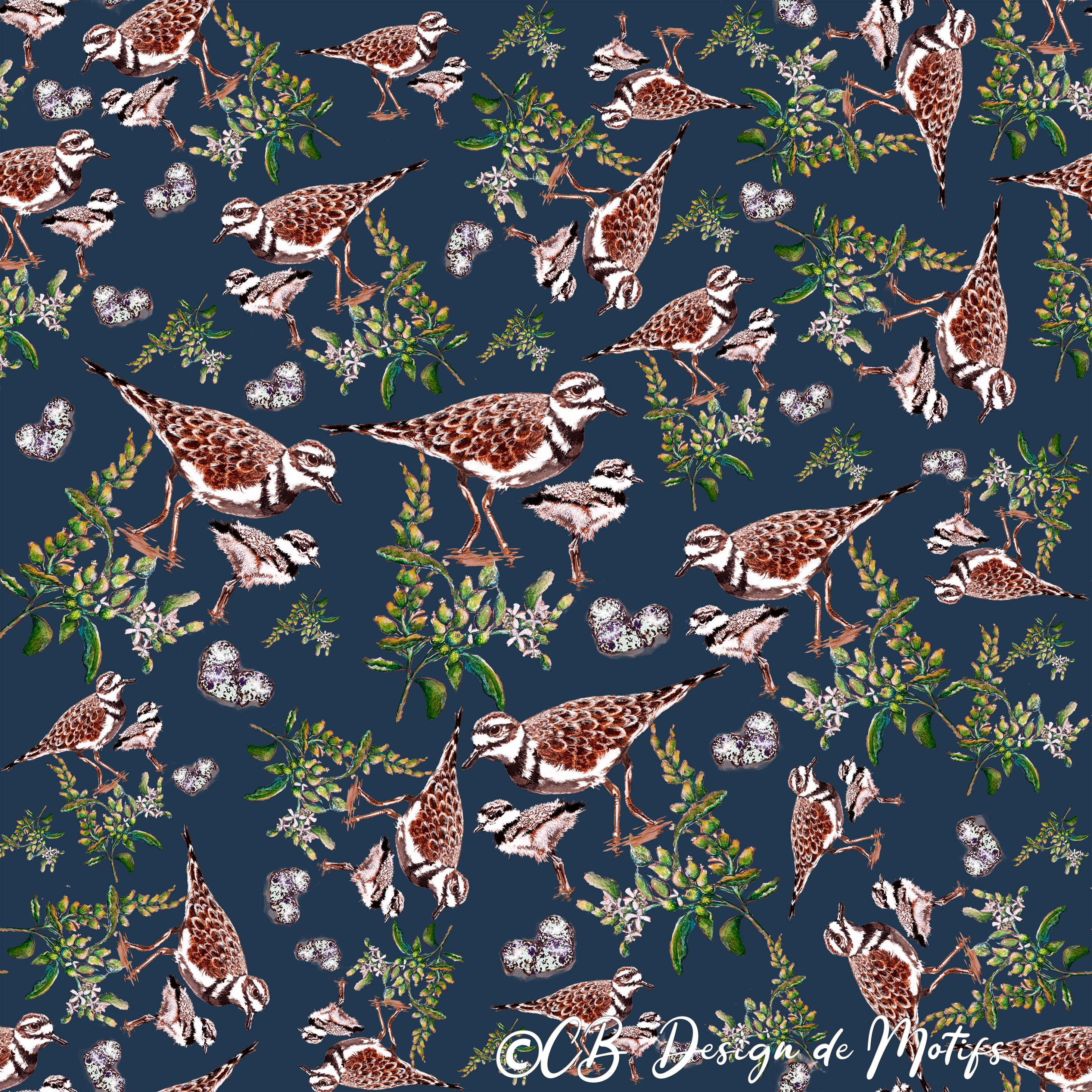 Pattern Pluvier Kildir