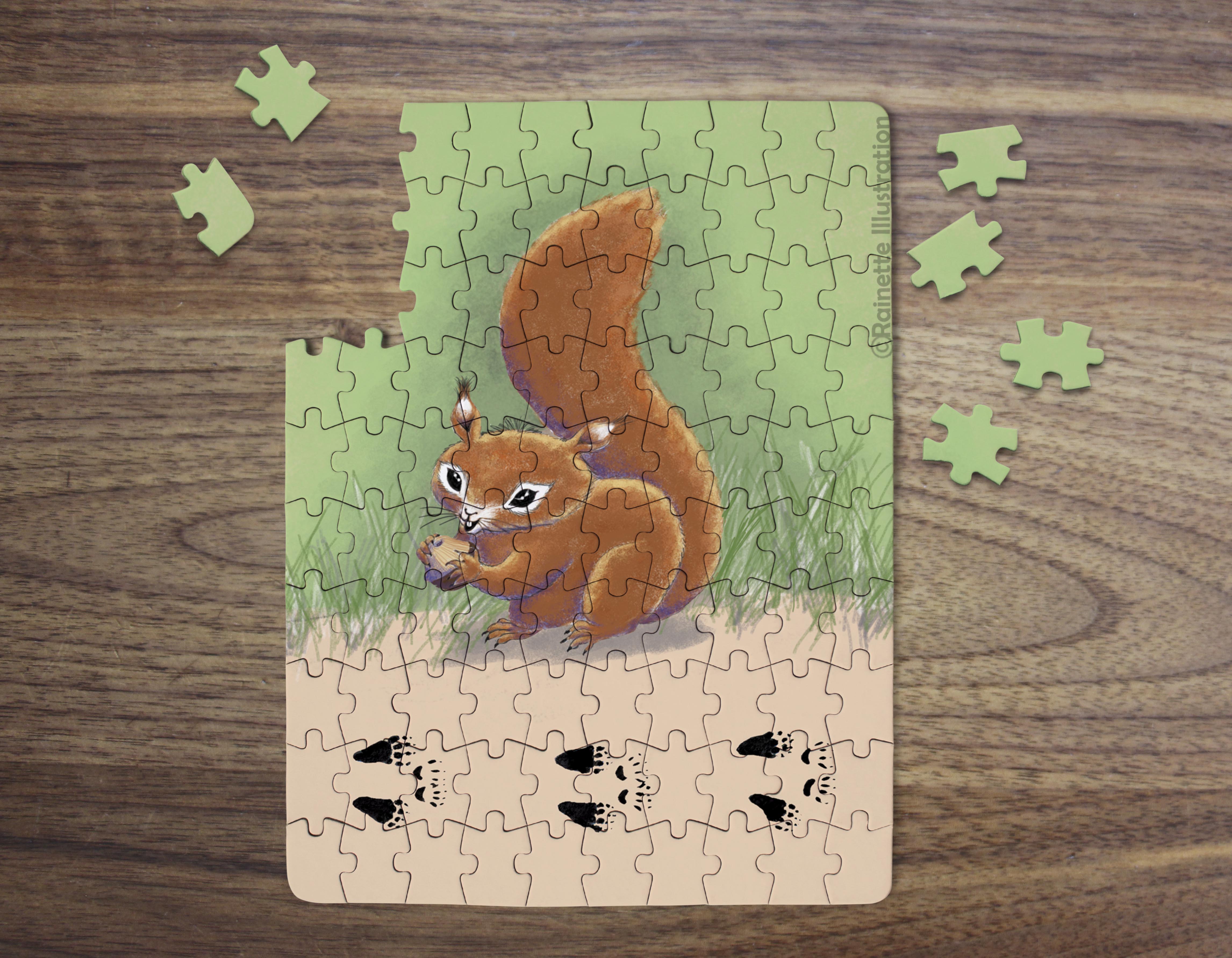 Squirrel