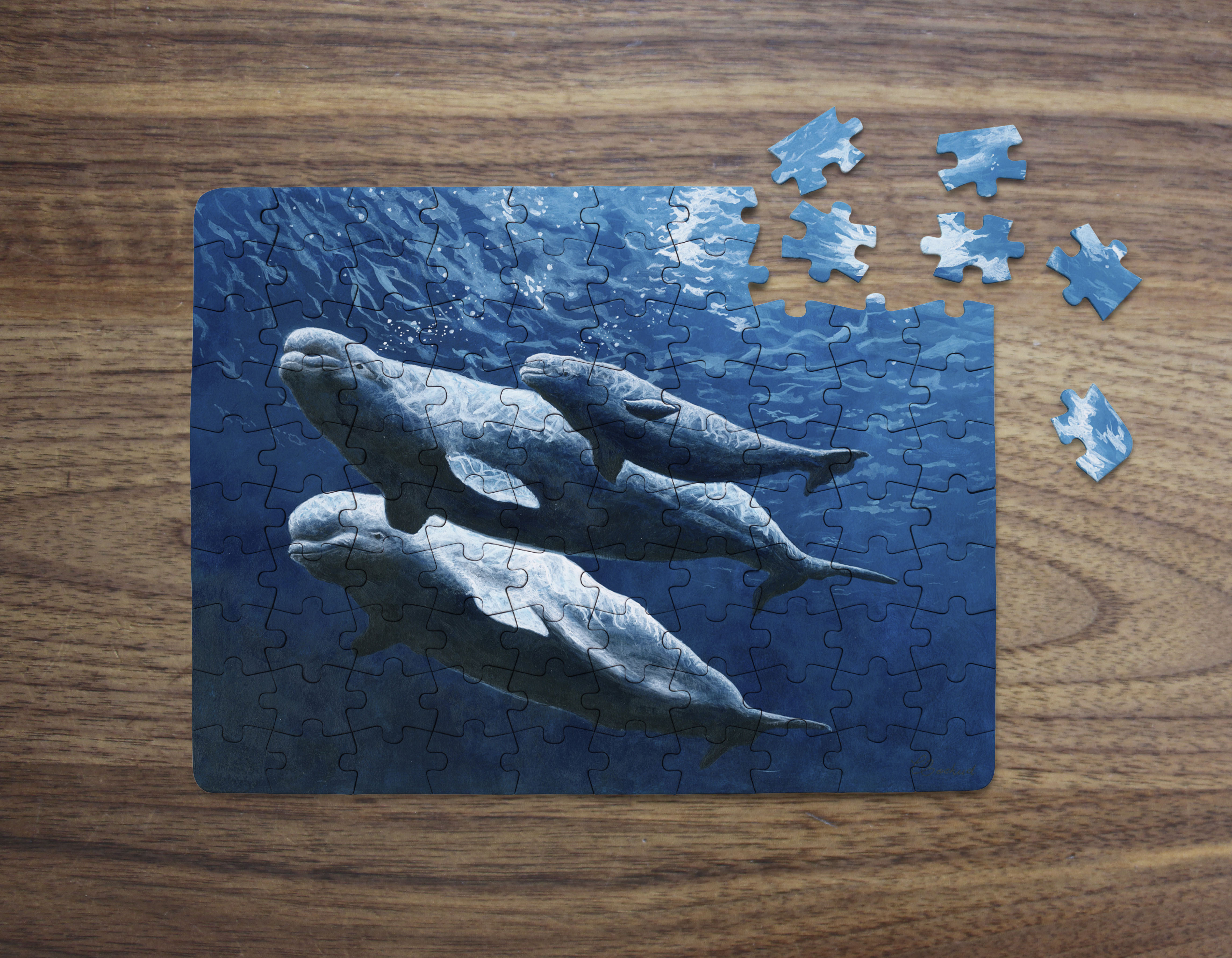 baleine