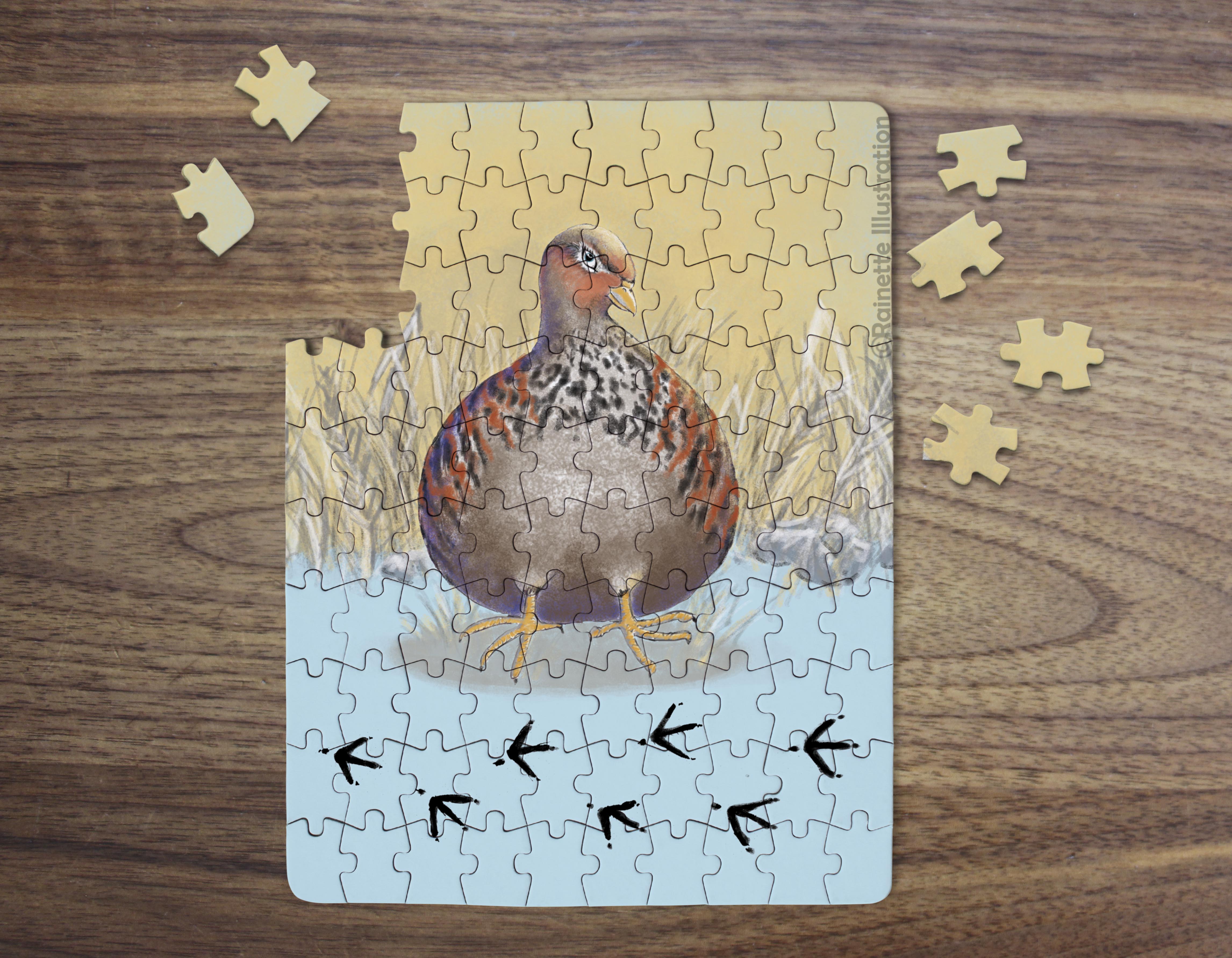 partridge