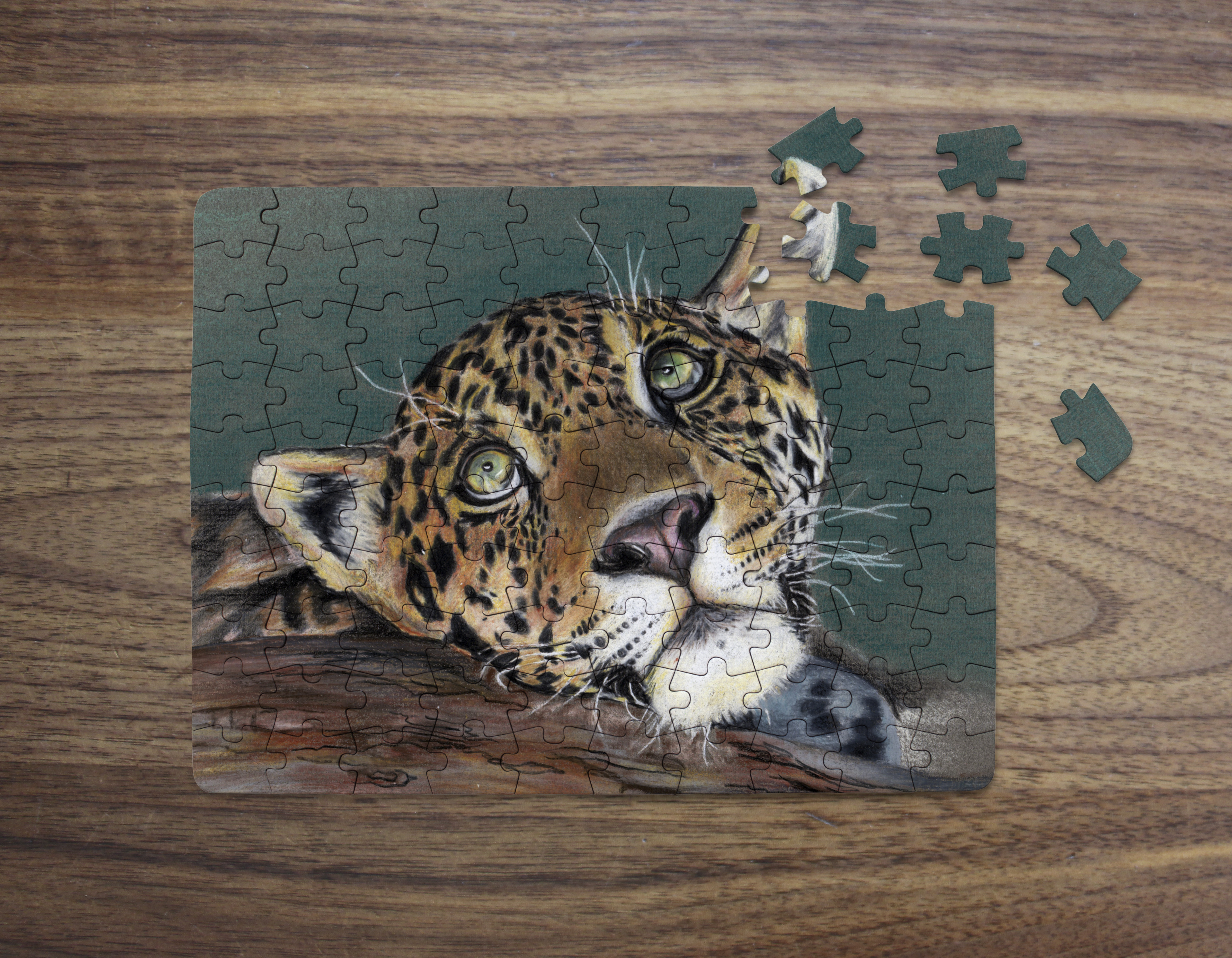 leopard
