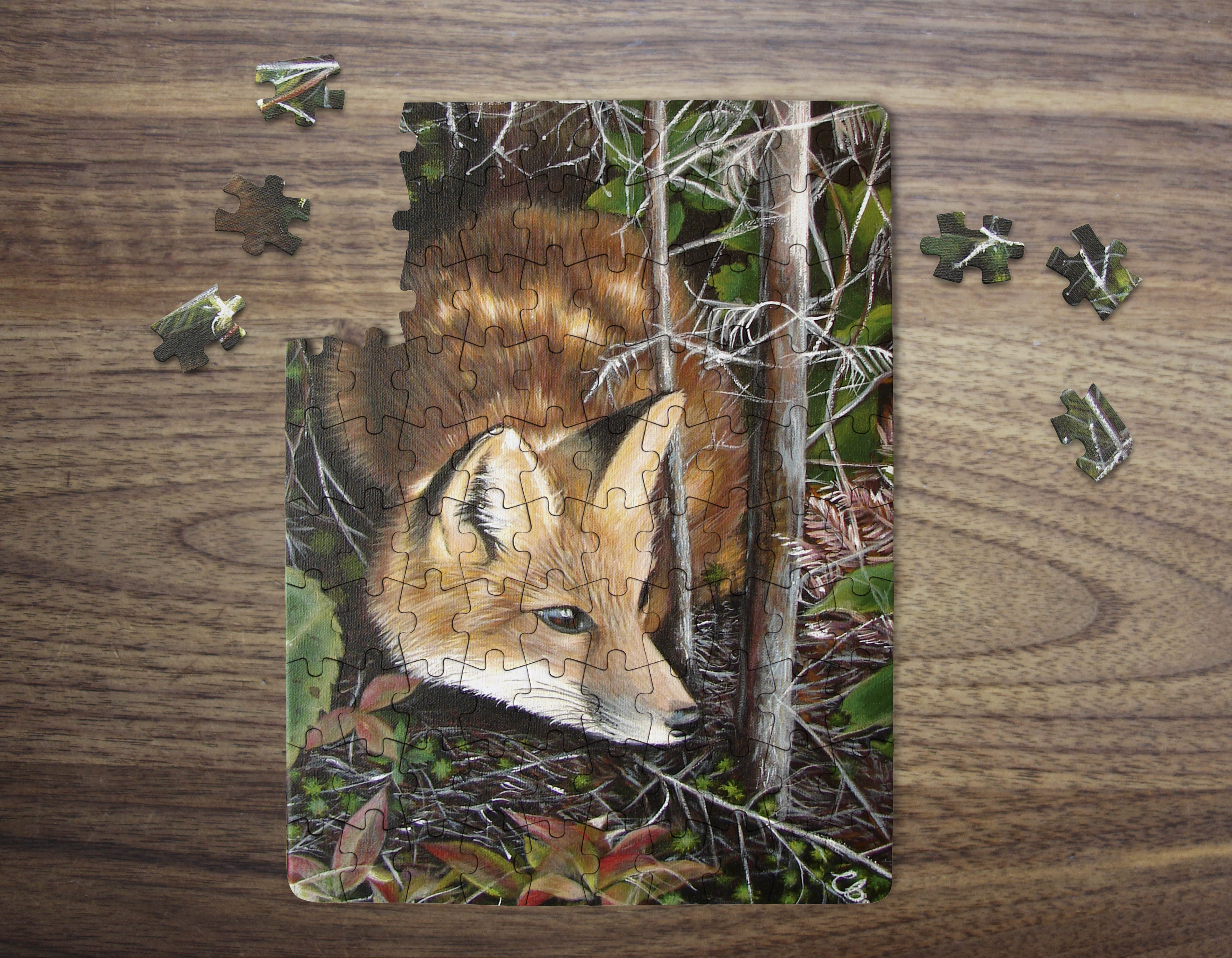 renard puzzple